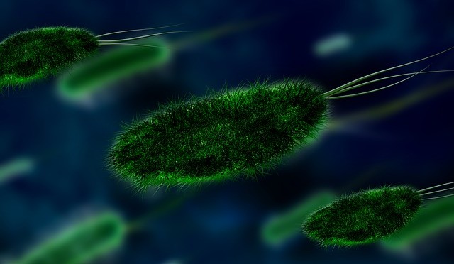What’s nylon eating bacteria got to do with it?